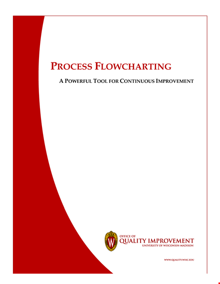 streamline your workflow with our process flow chart template template