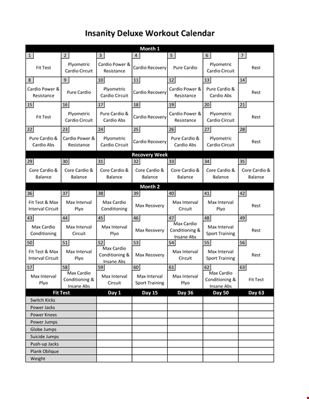 workout insanity calendar template template