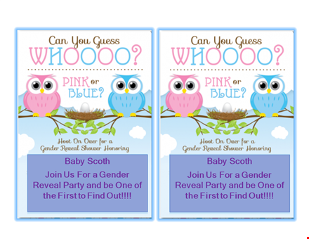 gender reveal invitation templates - celebrate the excitement with a unique gender reveal experience template