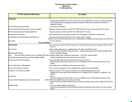 effective financial plan management & audit | ensure compliance & operational efficiency template