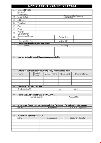 credit application form - complete your application with ease template