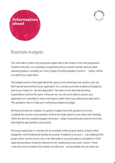 income and expenditure budget template template