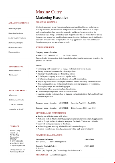 sales marketing executive resume - stand out and succeed in the competitive marketing industry template