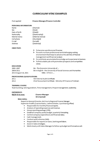 curriculum vitae example template