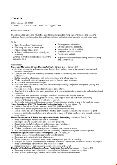 marketing director sales resume template