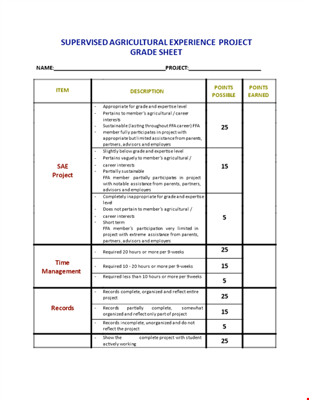 project grade template
