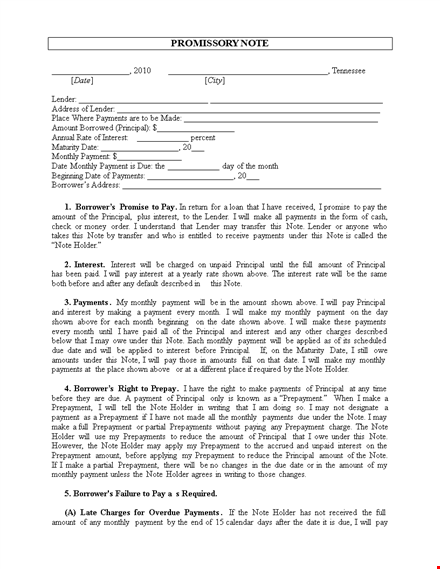 create a legally binding promissory note template for payment with specified amount and holder template