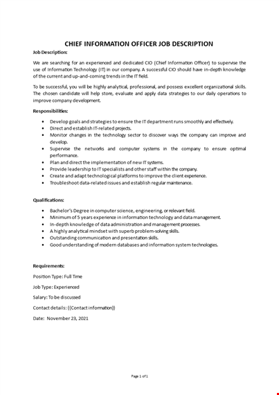 chief information officer job description template