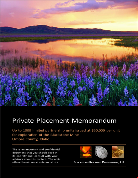 mining private placement memorandum template