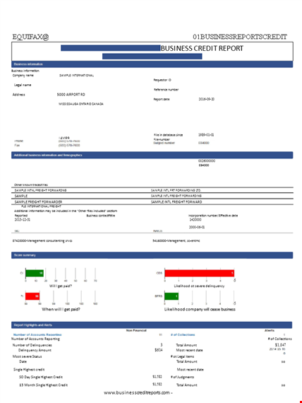 sample corporate credit template