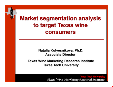 market segmentation analysis template template
