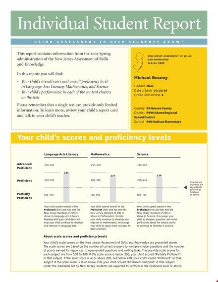 formal individual student template