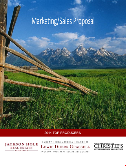 marketing sales proposal template