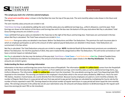 salary pay stub template - calculate total hours and earnings efficiently template