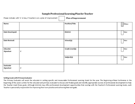 professional plan template