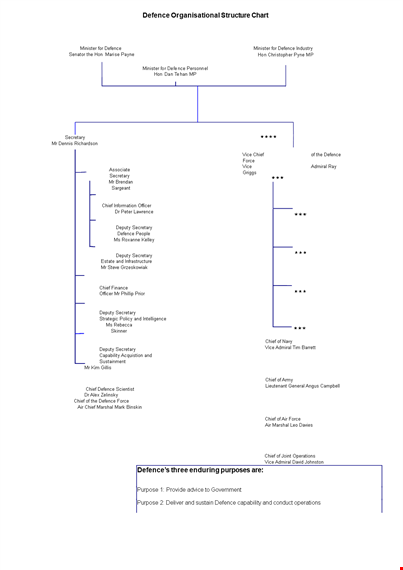 hierarchy structure for secretary, chief, deputy, and defense template