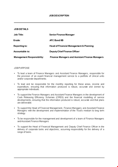 senior finance manager job description template