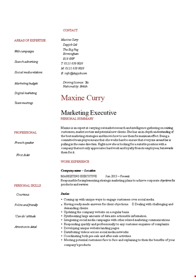 sales marketing executive resume template