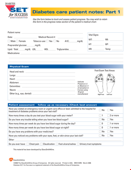 diabetes care note template
