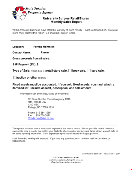 retail store sale report template