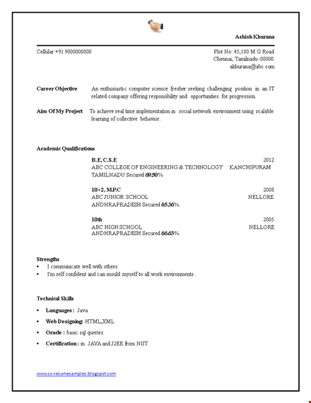 fresher professional resume format template