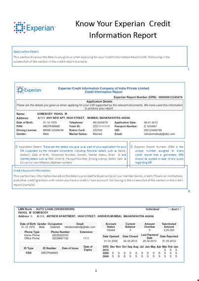 business credit report template