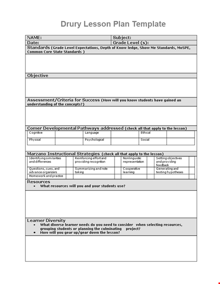 lesson plan template for students to meet their standards template
