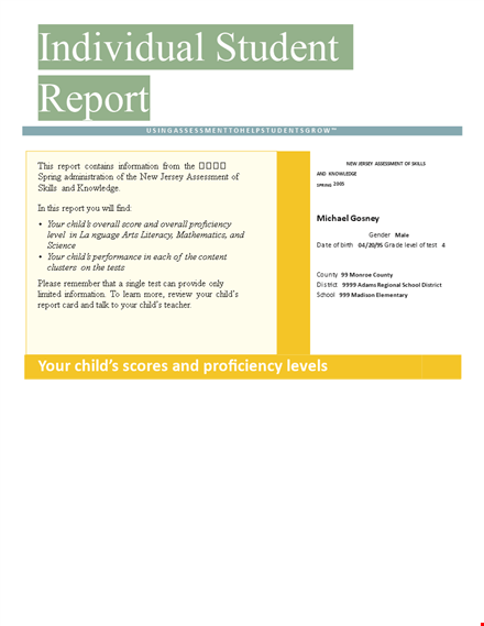 individual student scores - promoting proficient achievement in formal education template