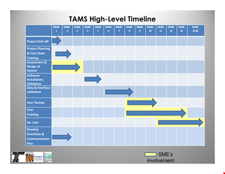 project management high level timeline - plan, execute, and validate projects in a month template