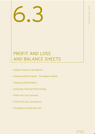 professional balance sheet template template