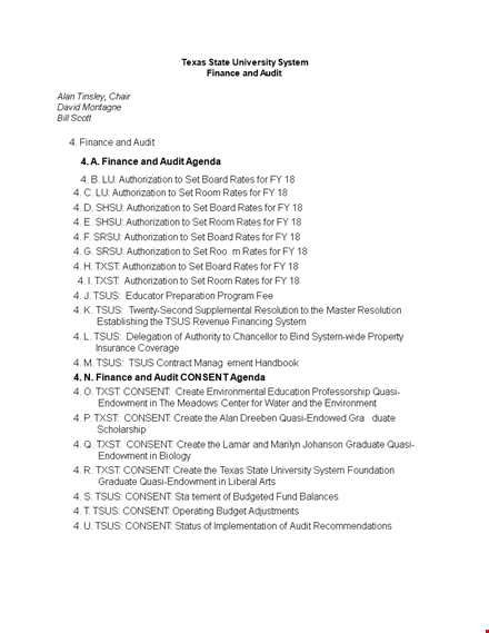 finance audit agenda template template