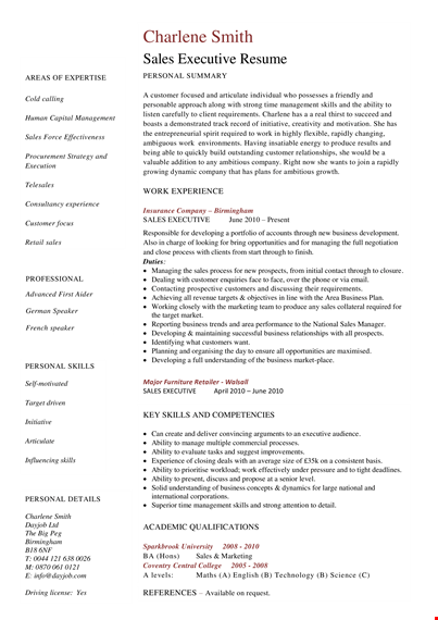 sales executive resume example template