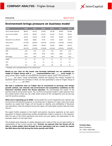 insurance company analysis template template