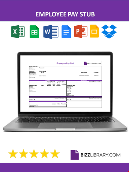 general pay stub  template