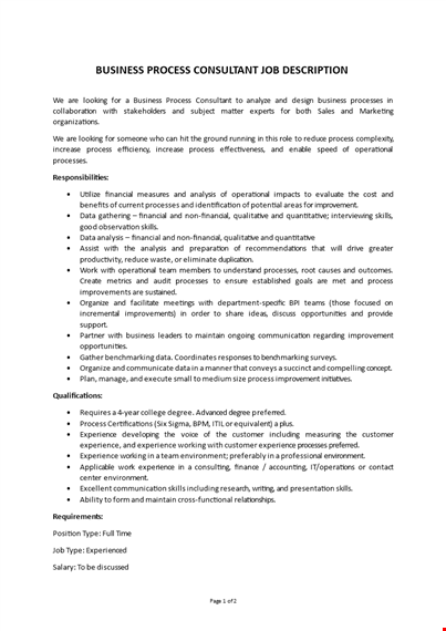 business process consultant job description template