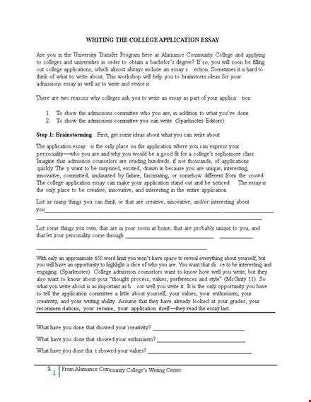 college application essay template template