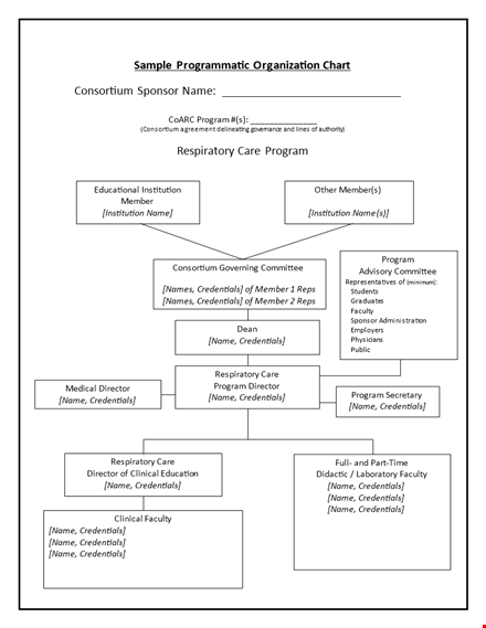 programmatic organization chart template