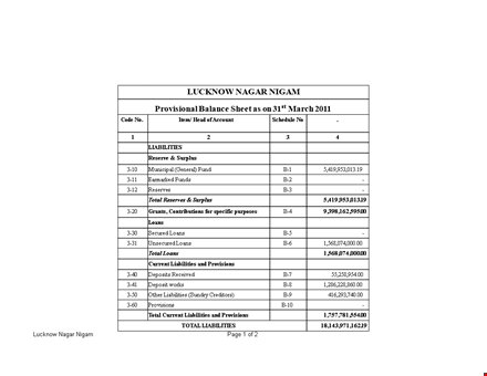 provisional balance sheet format template
