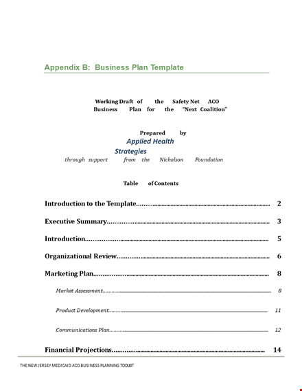 health care business plan template template