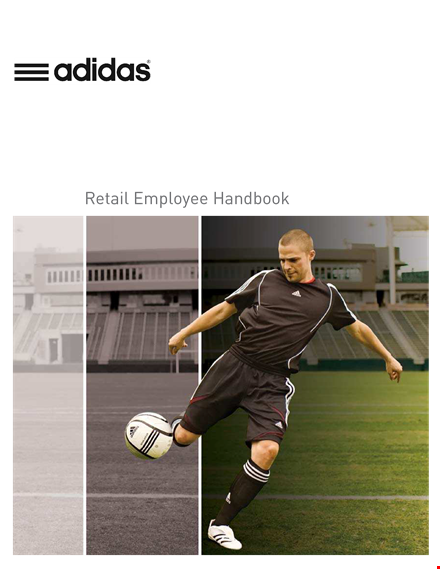 retail employee handbook sample - essential guidelines for company, leave, and employees template