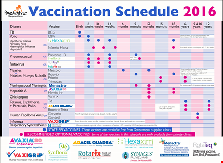 vaccination schedule example in pdf format template