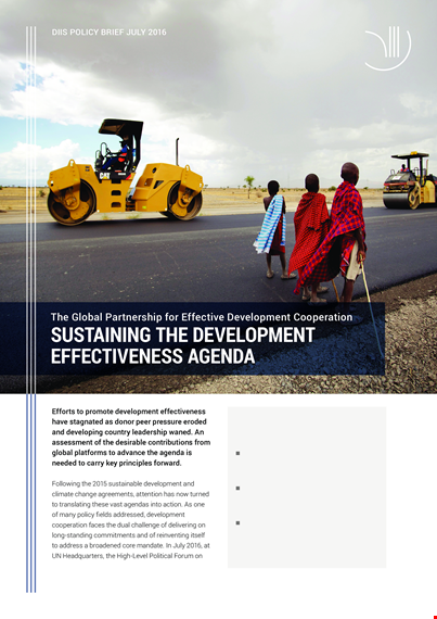development effectiveness agenda template