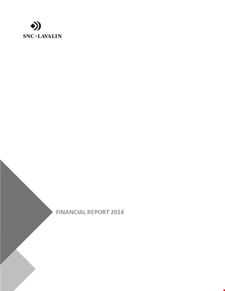 company financial statement analysis example template