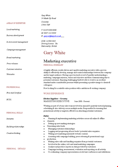 marketing executive resume template