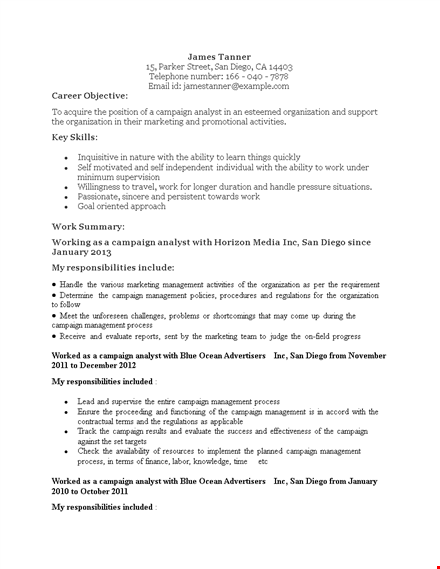 marketing campaign analyst resume template