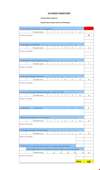 financial ratio analysis statement example template