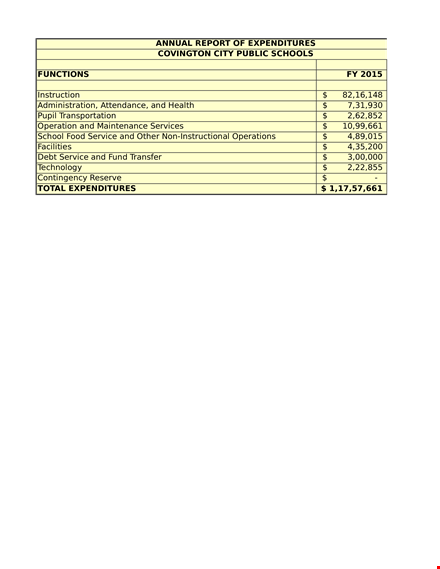 school annual report: total expenditures & service overview template