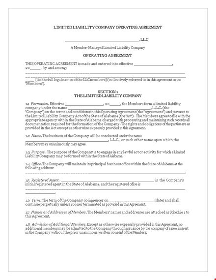 customize your llc company agreement | members & interest included template