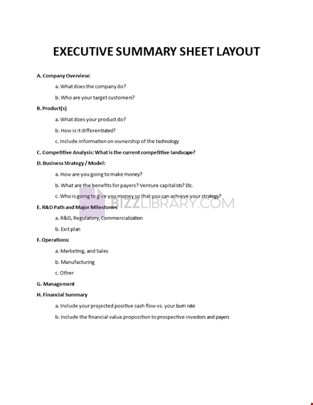 executive summary sheet layout template