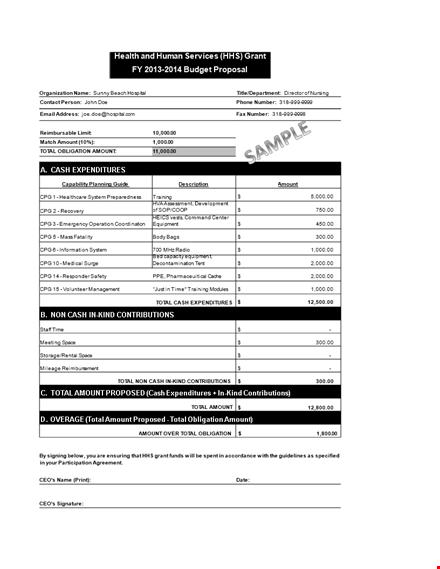 hospital operating budget template: manage finances, secure grants template
